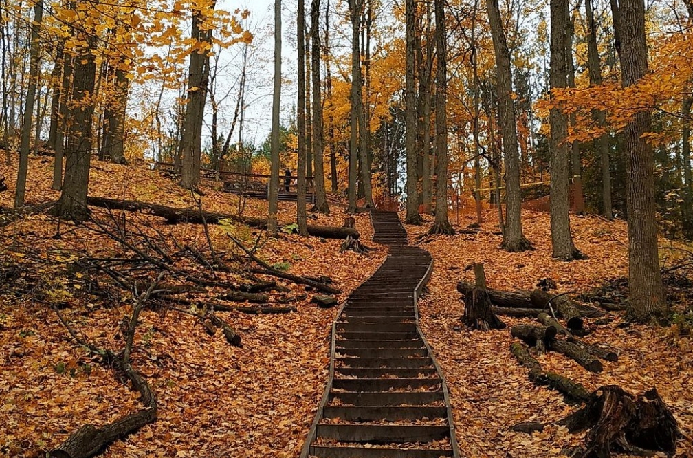 King City offers an abundance of natural beauty and outdoor recreation opportunities with its numerous parks, trails, and natural areas. From hiking and biking trails to serene green spaces, there's no shortage of ways to enjoy the natural surroundings.